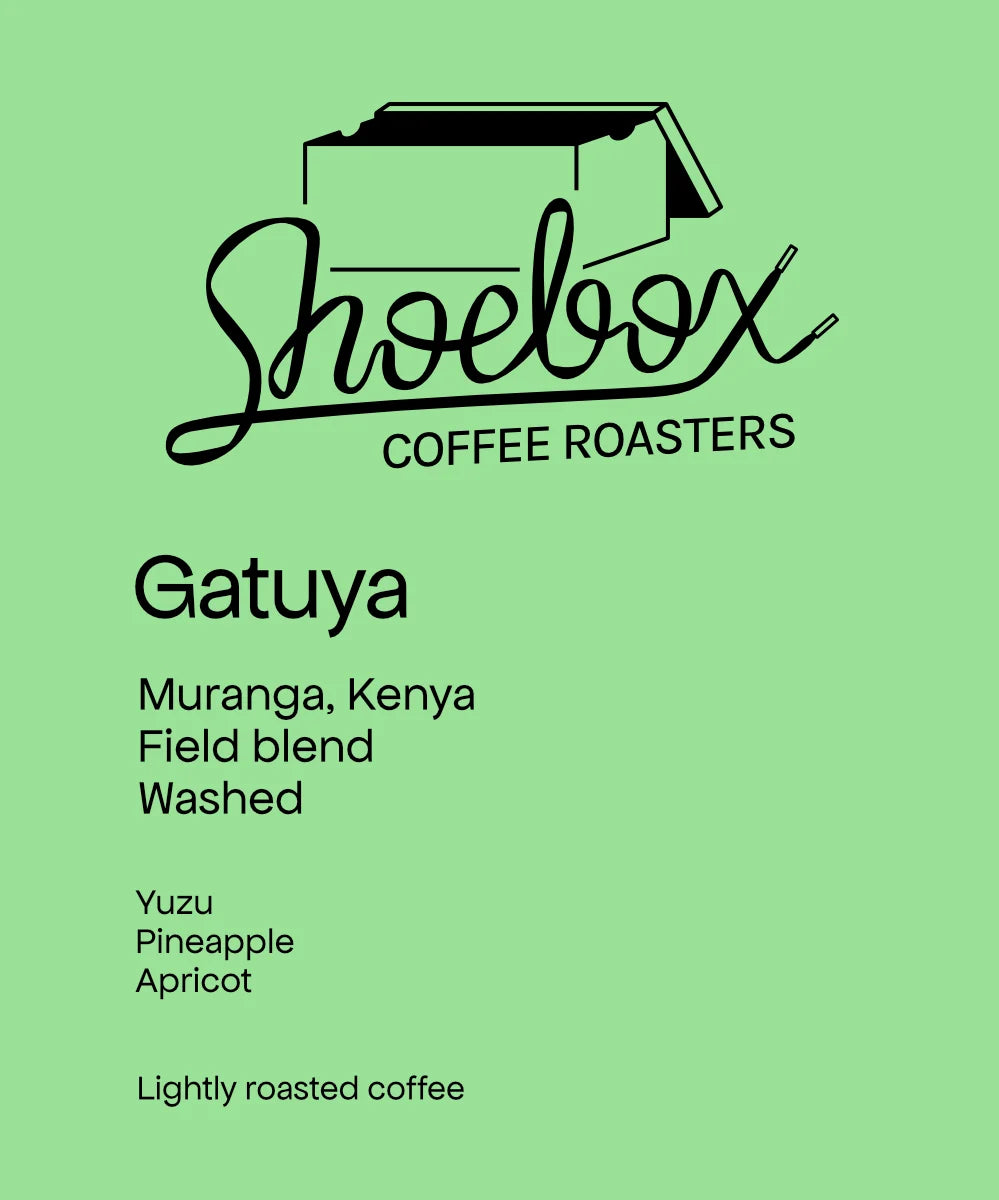 Gatuya - Kenya, Shoebox | 125g