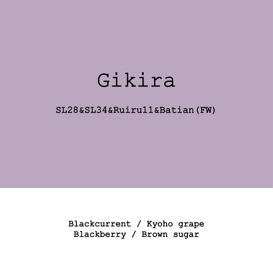 Gikira washed - Kenya, Gout and Co | 100g