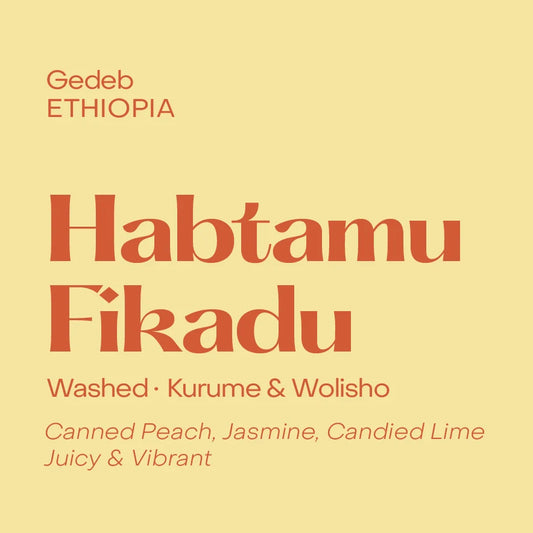 Habtamu Fikadu washed - Ethiopia, Subtext | 250g