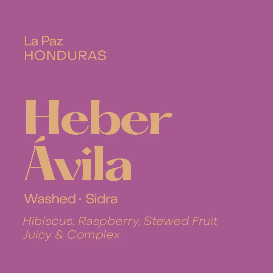 Heber Avila, washed sidra - Honduras, Subtext | 250g