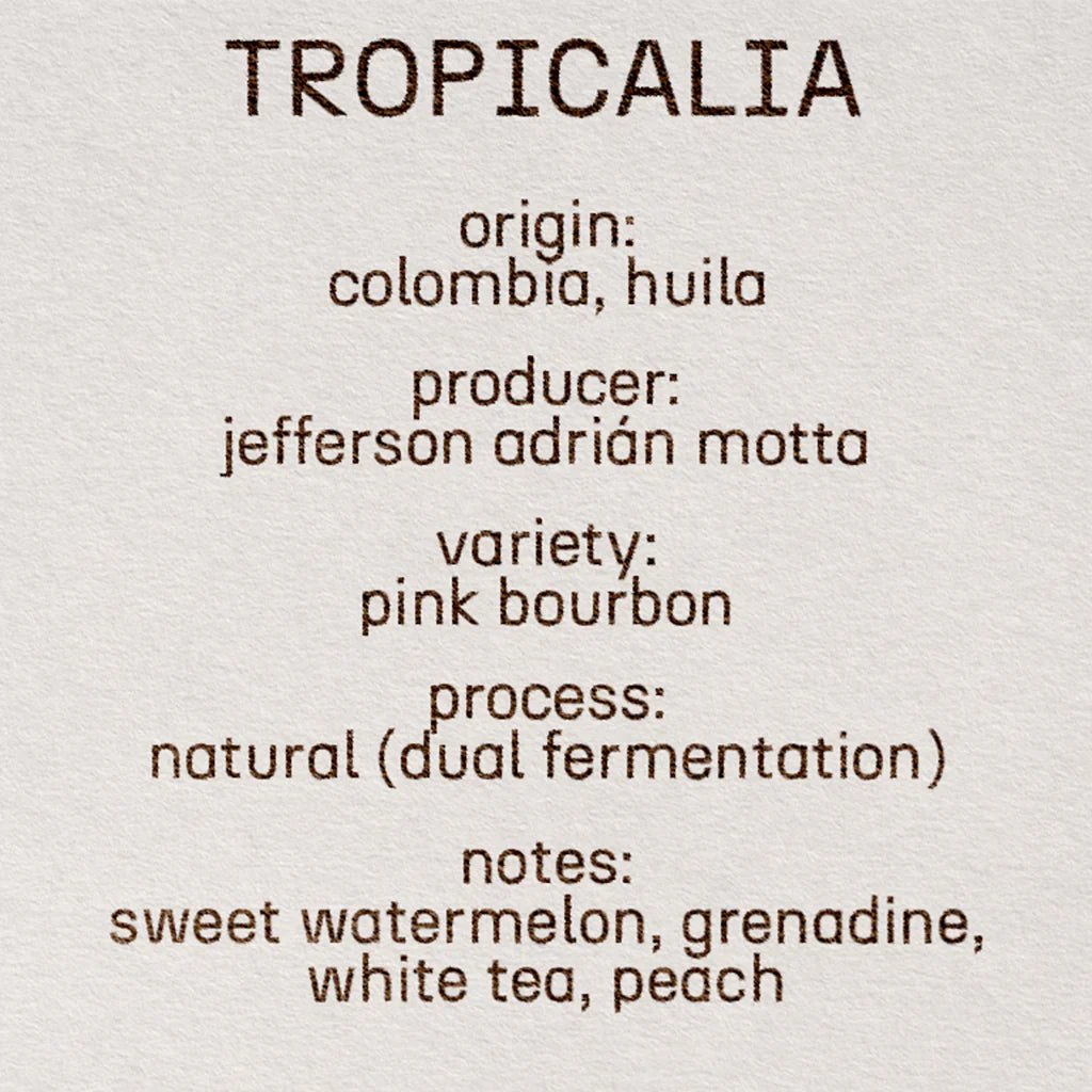 Tropicalia - Colombia , Still | 200g