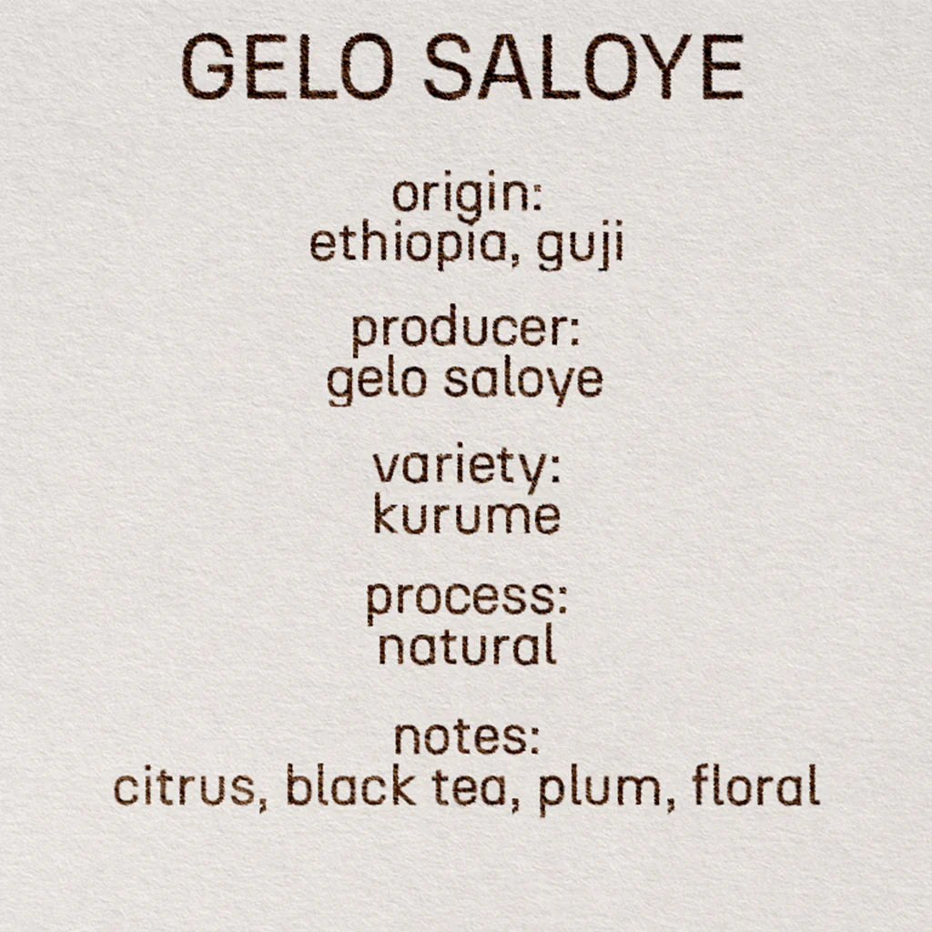 Gelo Saloye - Ethiopia, Still | 200g