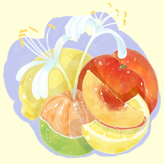 Habtamu Fekadu Aga - Ethiopia, Hydrangea | 227g