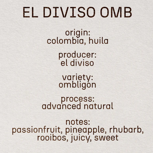 El Diviso OMB - Colombia , Still | 100g