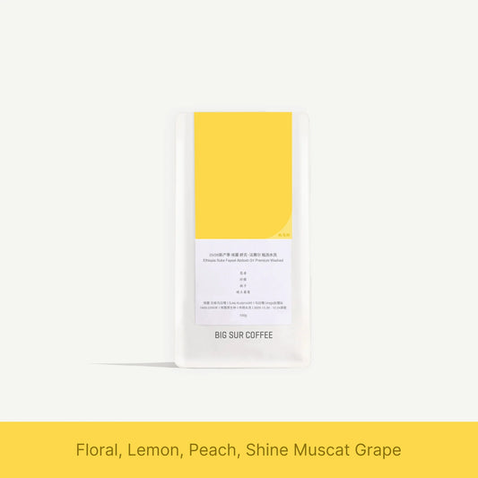 Ethiopia Suke Faysel Abdosh G1 Premium Washed 25/26, Big Sur | 150g