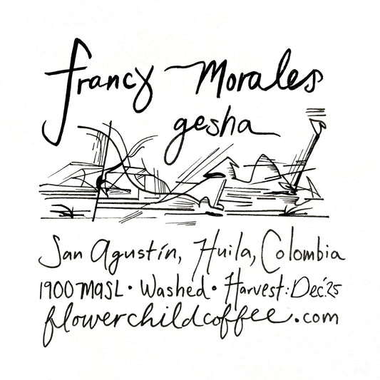 Francy Morales Gesha - Colombia, Flower Child | 250g