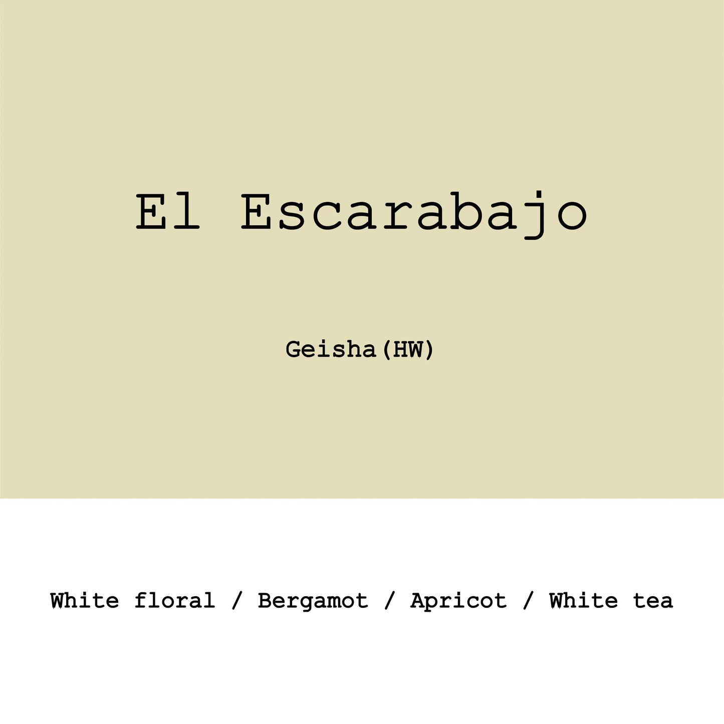El Escarabajo Geisha Hybrid washed- Colombia, Gout and Co | 100g