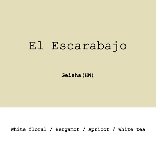 El Escarabajo Geisha Hybrid washed- Colombia, Gout and Co | 100g