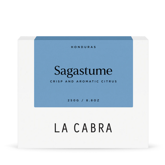 Sagastume washed Parainema - Honduras , La Cabra | 250g