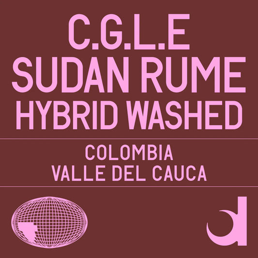 (Kopie) C.G.L.E.  Sudande Rume washed - Colombia, Datura | 100g