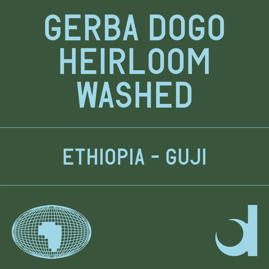 Gerba Dogo - Ethiopia, Datura | 200g