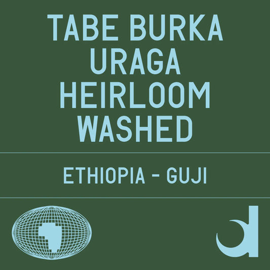 Tabe Burka washed - Ethiopia, Datura | 200g