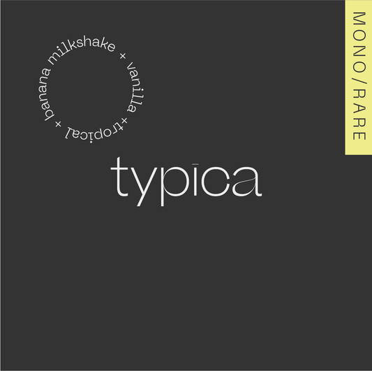 Typica (Los Nogales)  - Colombia, Amoc | 100g