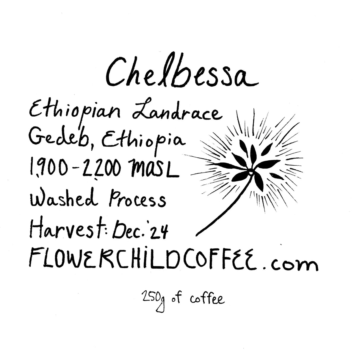 Chelbesa - Ethiopia, Flower Child | 250g