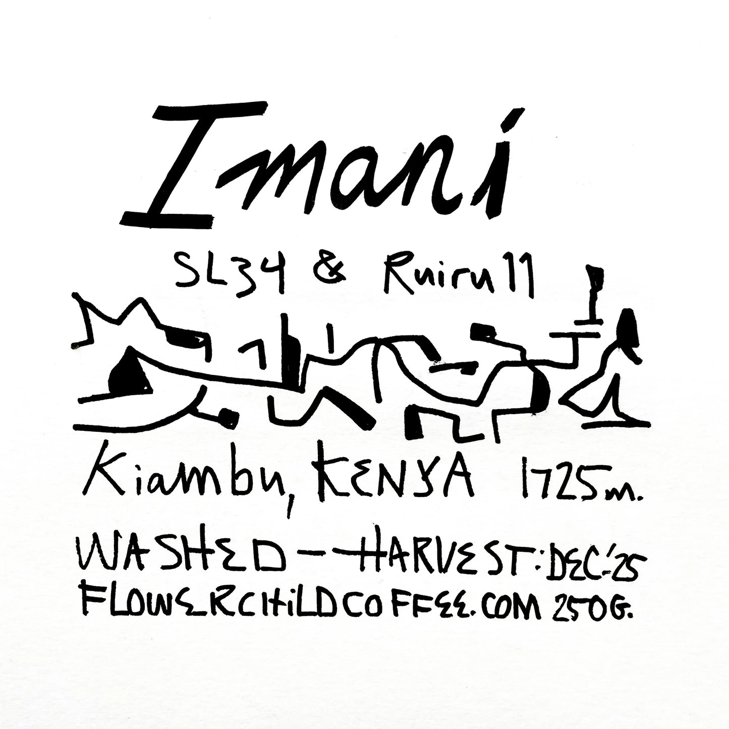 Imani - Kenya, Flower Child | 250g
