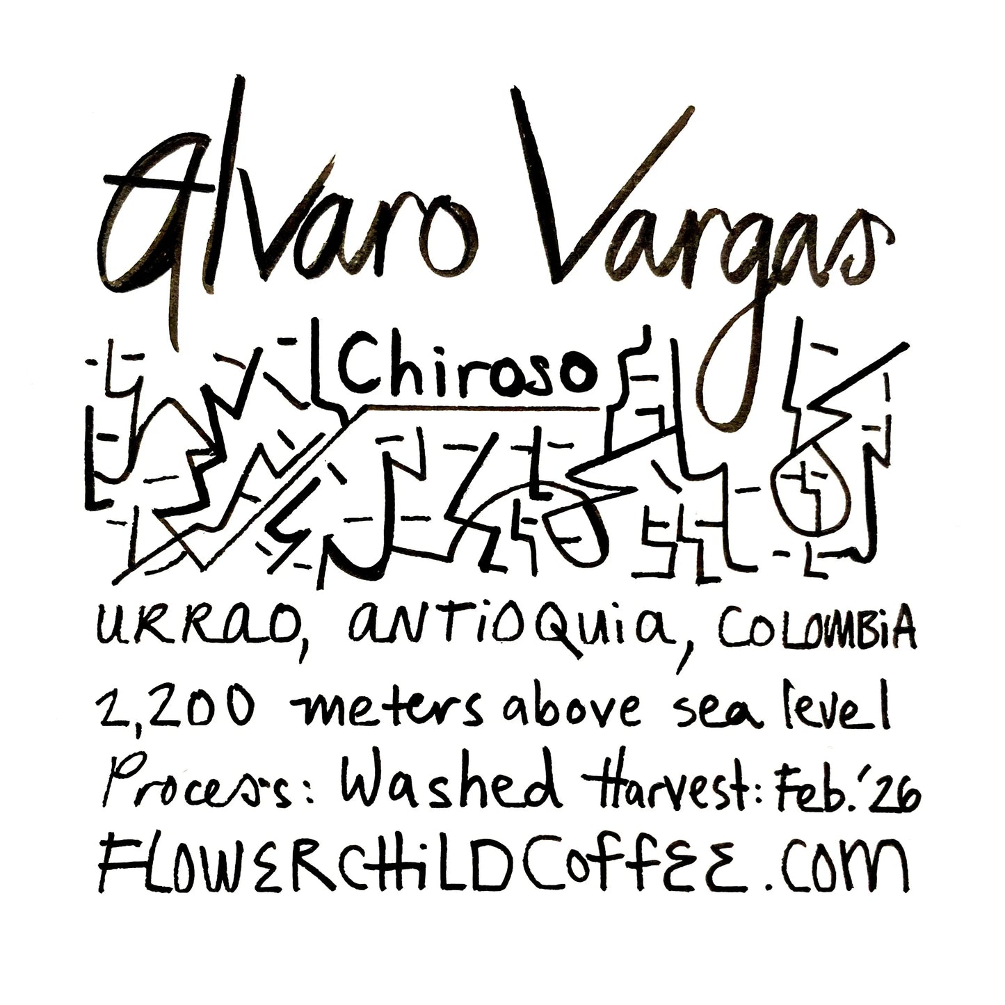 Alvaro Vargas - Colombia, Flower Child | 250g