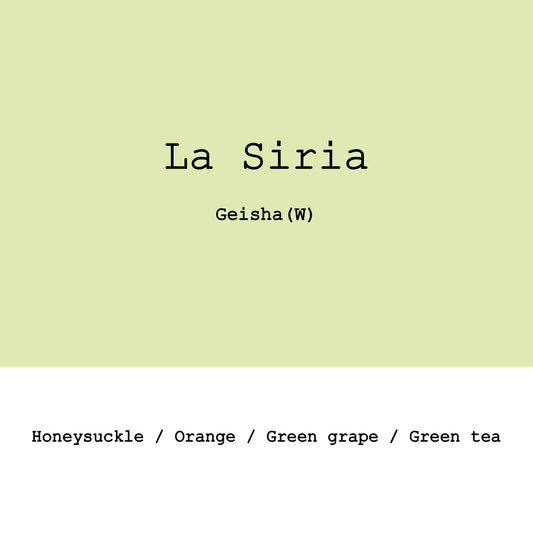 La Siria Geisha washed - Colombia, Gout and Co | 100g