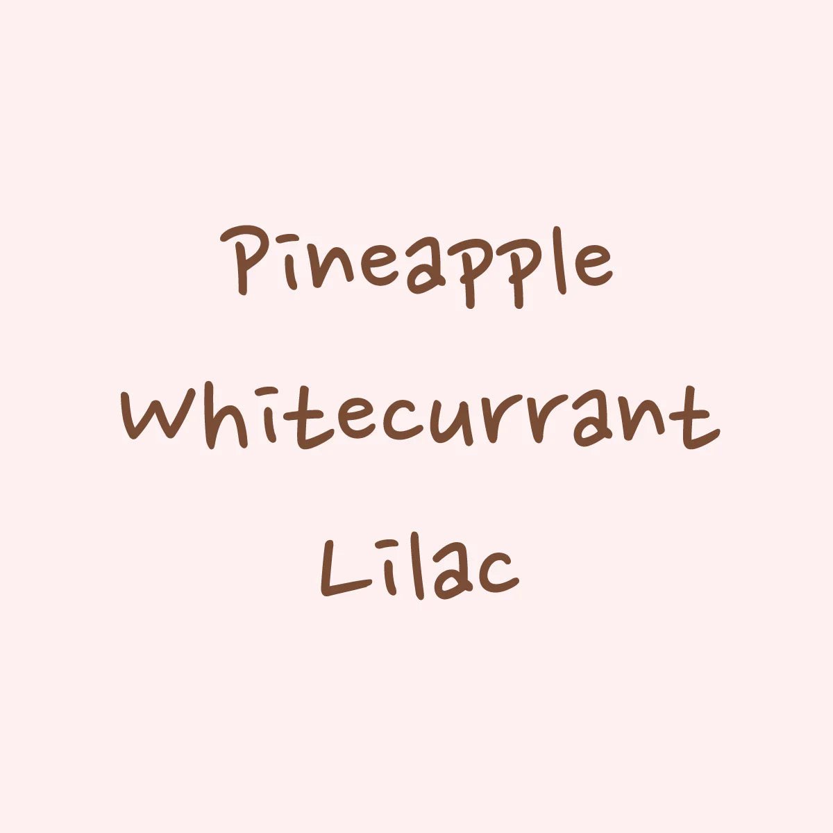 Typica Mejorado - Ecuador, Hydrangea | 114g