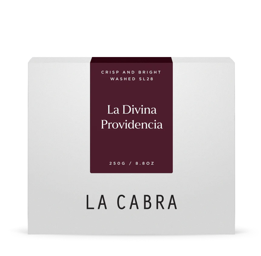 La Divina Washed SL 28l - El Salvador , La Cabra | 250g