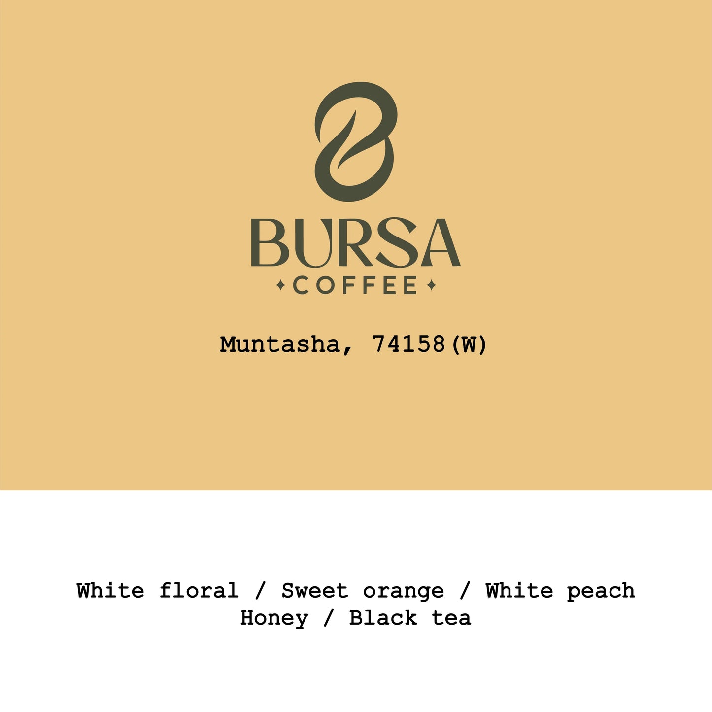 Muntasha washed - Ethiopia, Gout and Co | 250g