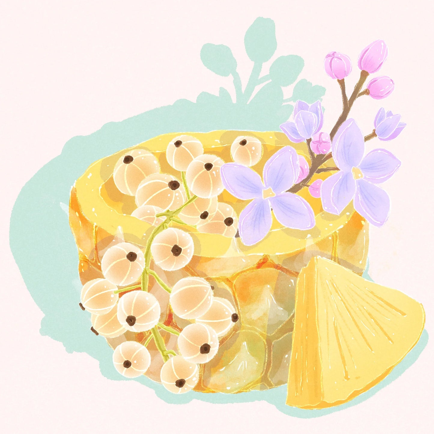 Typica Mejorado - Ecuador, Hydrangea | 114g