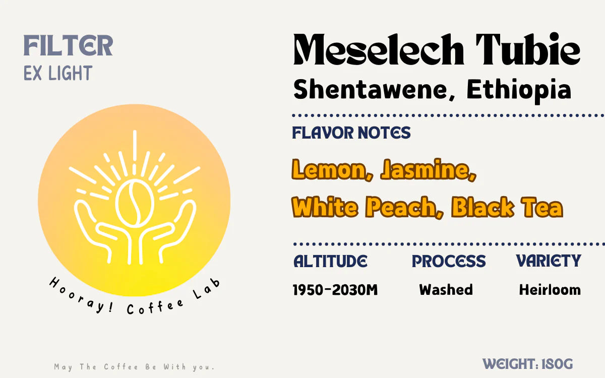 Shentawene - Ethiopia, Hooray Coffee Lab | 180g