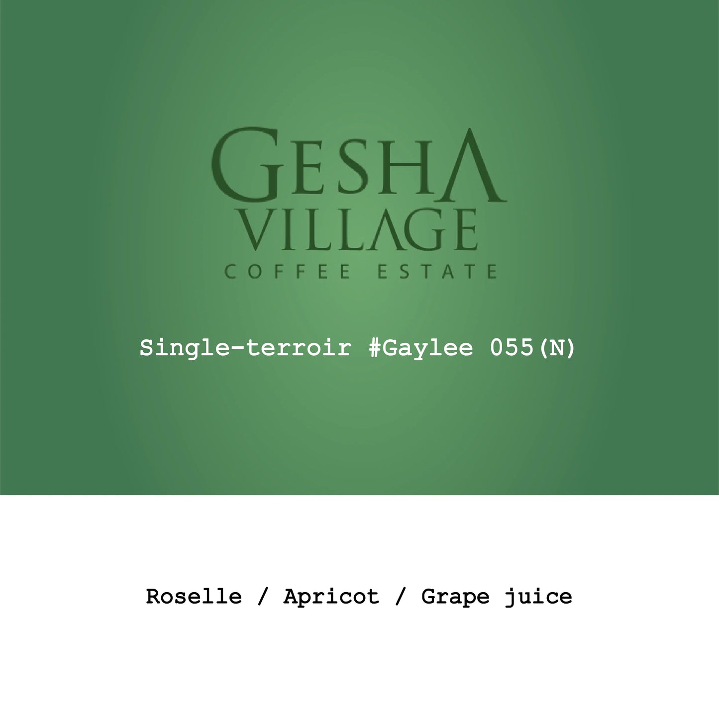 Gesha Village Single-terroir#Gaylee055 - Ethiopia, Gout and Co | 100g