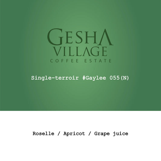Gesha Village Single-terroir#Gaylee055 - Ethiopia, Gout and Co | 100g