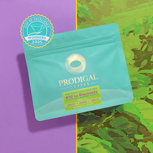 COE La Rinconada Geisha - Peru, Prodigal | 150g