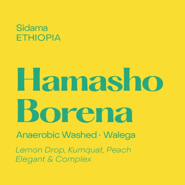 Hamasho Borena - Ethiopia, Subtext | 250g