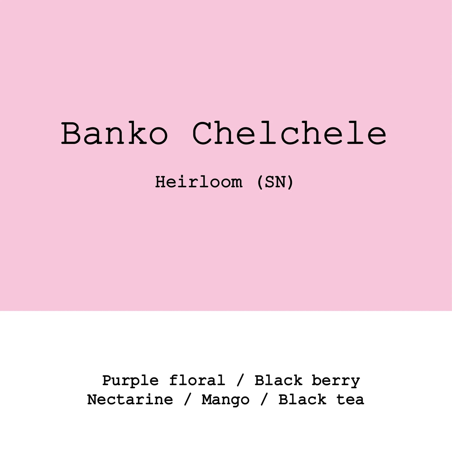Banko Chelchele natural - Ethiopia, Gout and Co | 250g