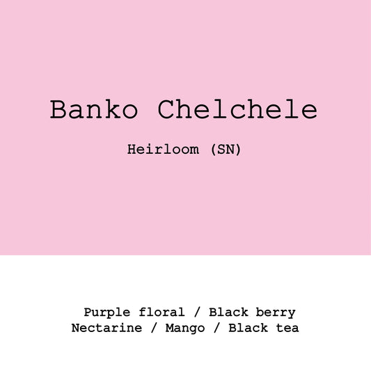 Banko Chelchele natural - Ethiopia, Gout and Co | 250g