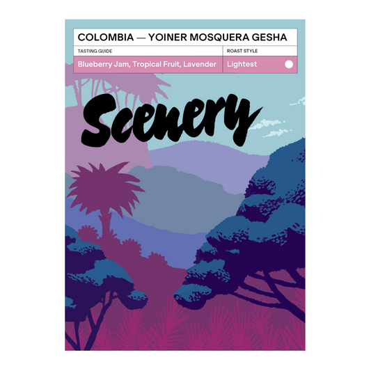 Yoiner Mosquera`s Gesha - Colombia, Scenery, Scenery  | 200g
