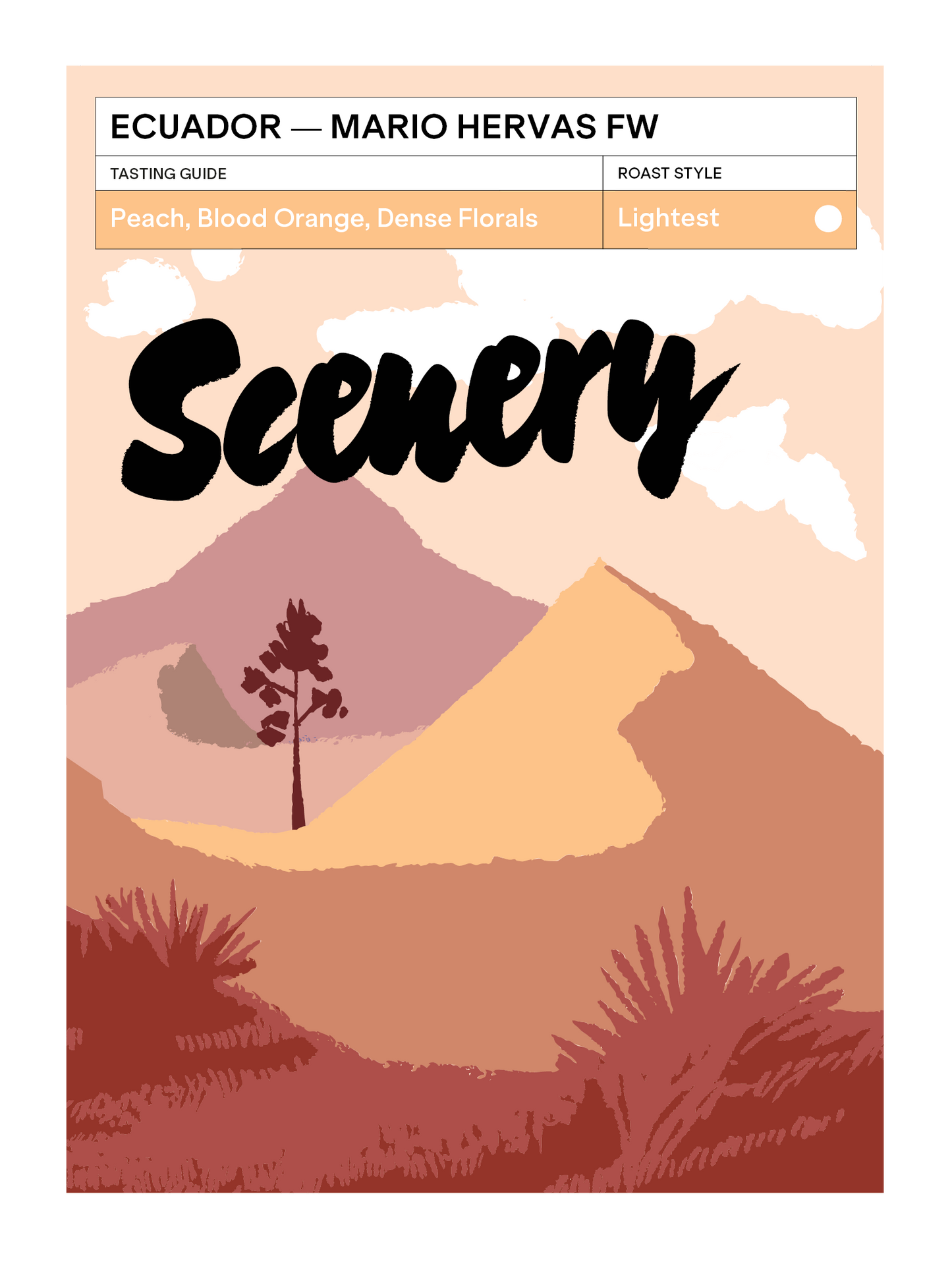 Mario Hervas Mejorado - Scenery, Scenery  | 200g