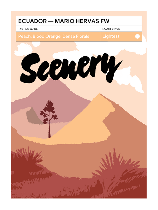 Mario Hervas Mejorado - Scenery, Scenery  | 200g