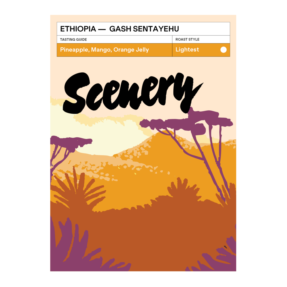Gash Sentayehu Special Prep - Ethiopia, Scenery | 200g