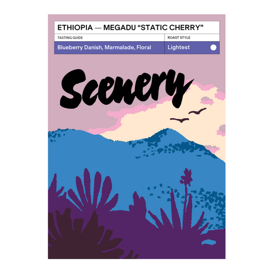 Megadu Static Cherry Anoxic Natural - Ethiopia, Scenery | 200g