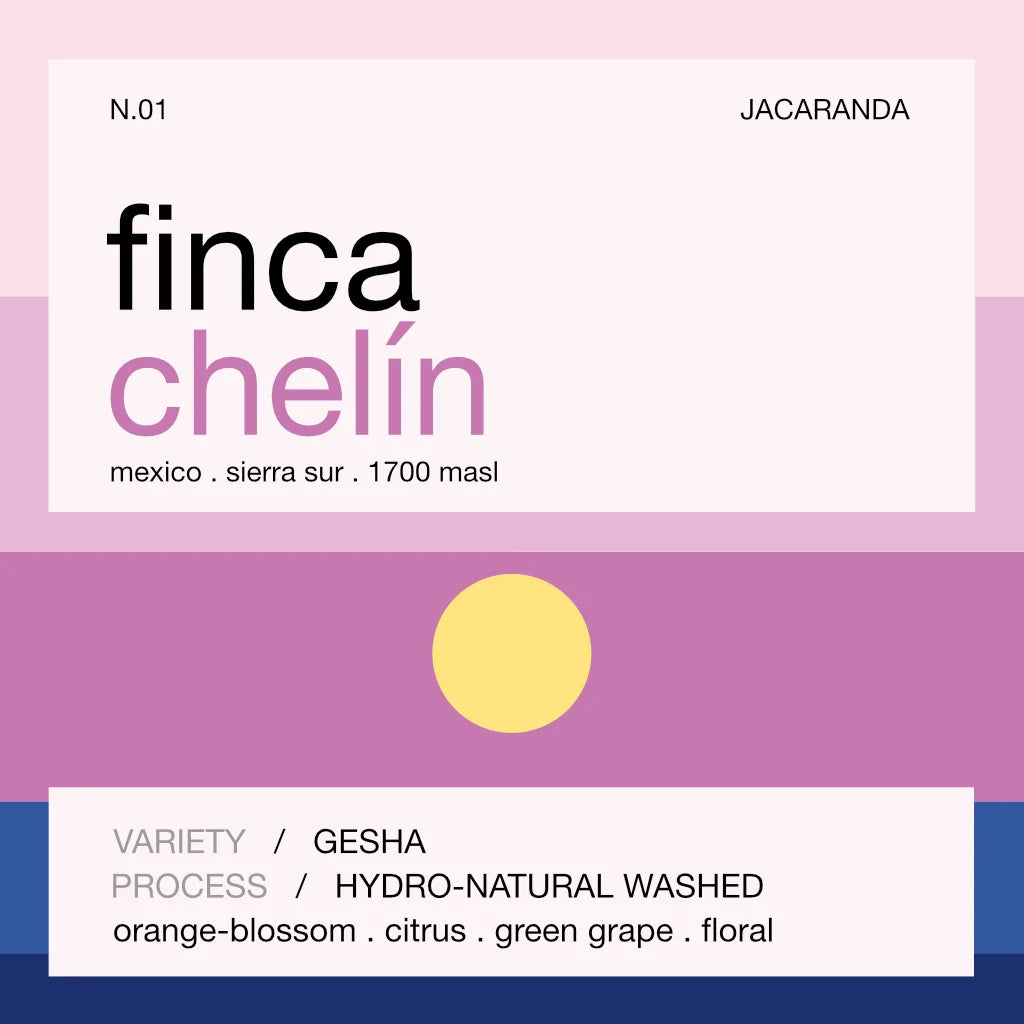 Finca Chelin Gesha - Mexico, Still | 100g