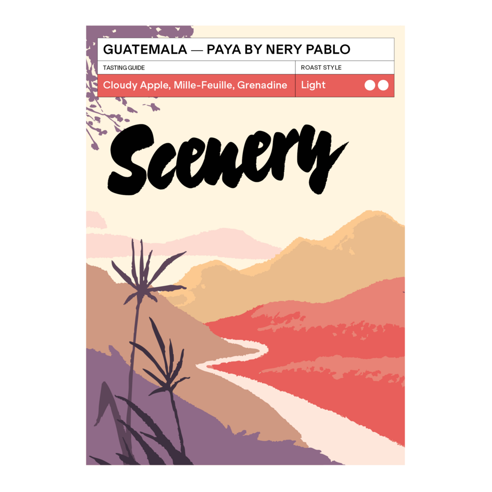 Paya by Nery Pablo - Guatemala, Scenery  | 200g