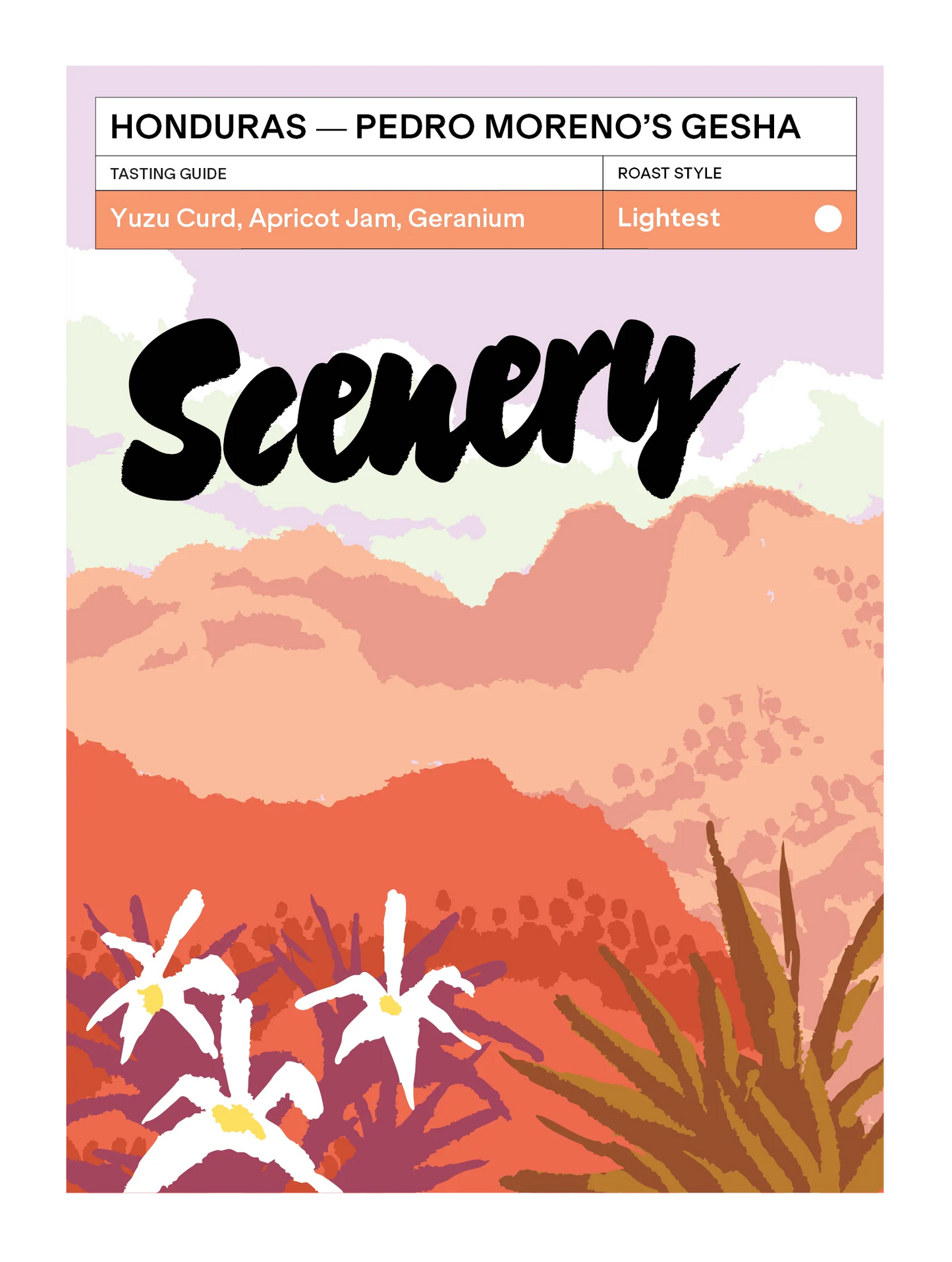 Pedro Moreno`s Gesha - Honduras, Scenery  | 200g