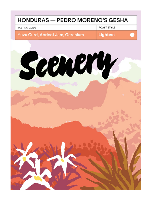 Pedro Moreno`s Gesha - Honduras, Scenery  | 200g