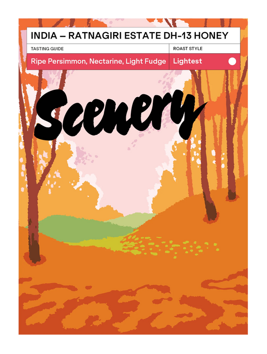 Ratnagiri Estate DH-13 Honey - India, Scenery  | 200g