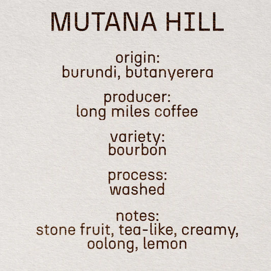 Mutana Hill - Burundi, Still | 200g