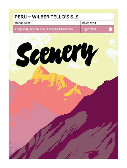 Wilber Tello`s SL9 - Peru, Scenery  | 200g