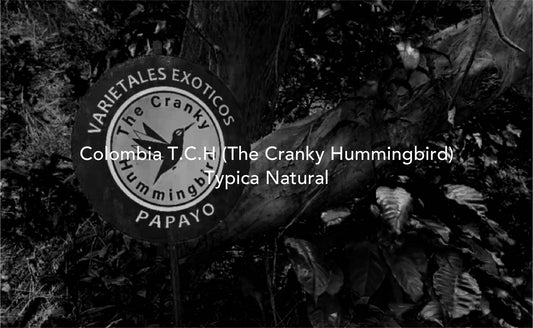 The Cranky Hummingbird Typica Natural - Colombia, Moby Dick | 100g