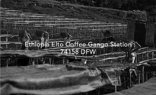 Elto Coffee Gango Station 74158 DFW  - Ethiopia, Moby Dick | 100g