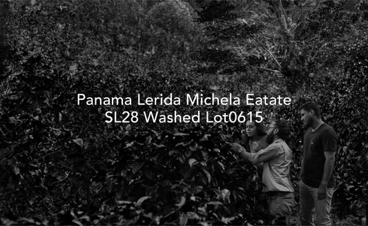 Embu Ngaratua Estate SL28 AA Washed - Kenya, Moby Dick | 100g