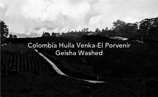El Provenir Gesha - Colombia, Moby Dick | 75g